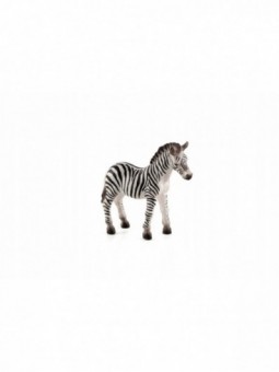 ZEBRA ŹREBIĘ - MOJO - 387016