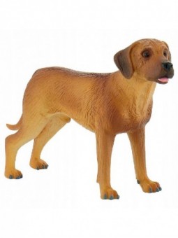PIES RHODESIAN RIDGEBACK -...