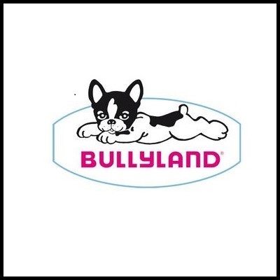 Bullyland